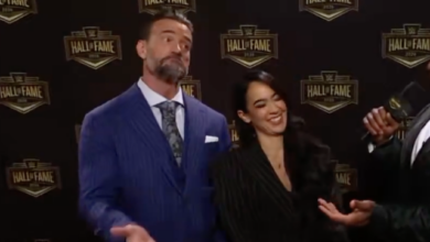 cm punk aj lee