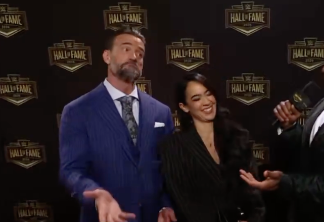 cm punk aj lee