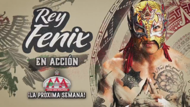 rey fenix