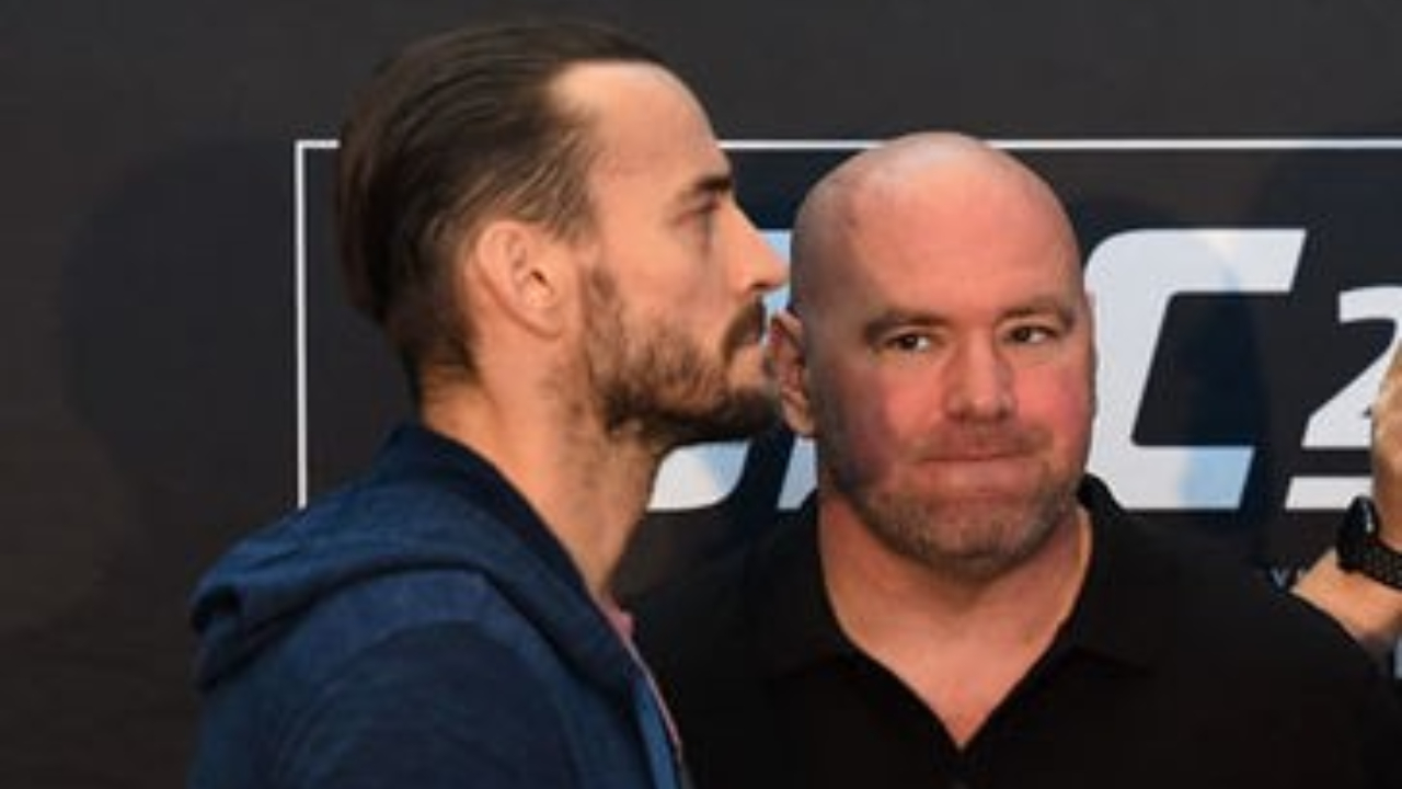 dana white, cm punk