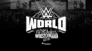 wwe world