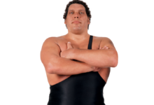 andre the giant