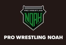 pro wrestling noah logo