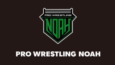 pro wrestling noah logo