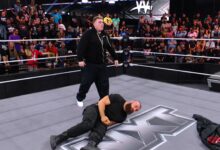 will kroos, tony d'angelo