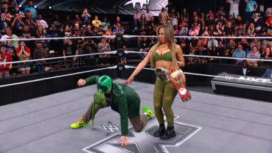 lola vice, mr. iguana