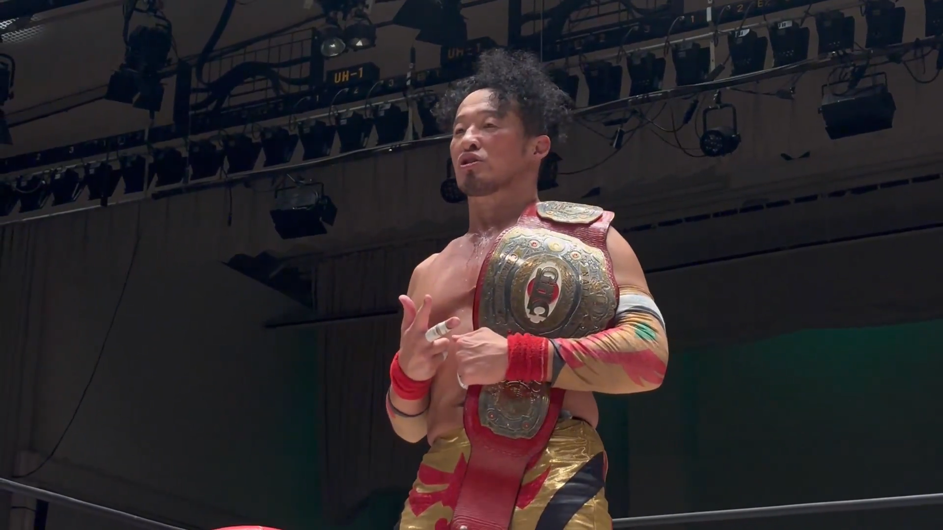 naomichi marufuji