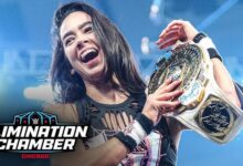 AJ Lee WWE