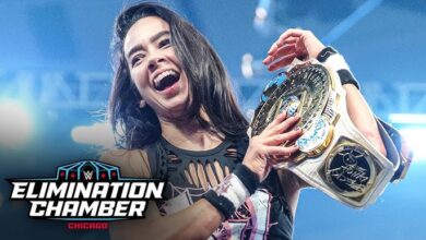 AJ Lee WWE