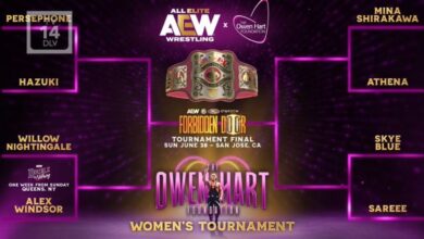 AEW Women's Owen