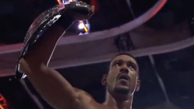 ar fox