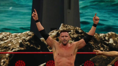 nigel mcguinness