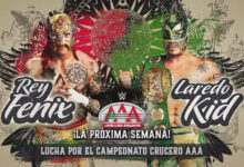 rey fenix, laredo kid
