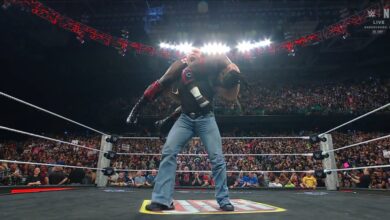 Brock Lesnar Oba Femi