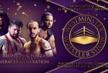 Beyond Westminster Wrestler Show