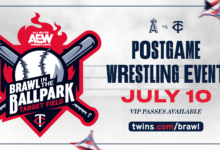 aew brawl in the ballpark