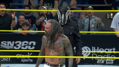 willow, jeff hardy, vincent