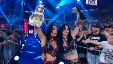Paige, Brie Bella