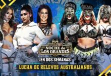 bayley, la catalina, lola vice, las toxicas, maravilla, la hiedra, flammer