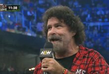 mick foley
