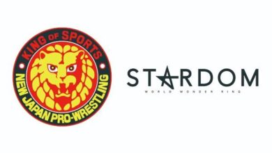 stardom njpw