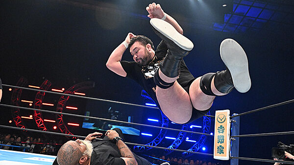aaron wolf, don fale