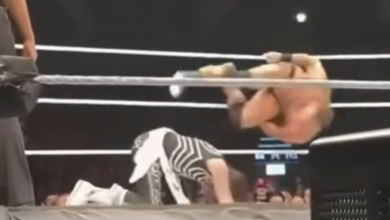la knight rey mysterio 619