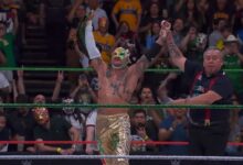 rey fenix