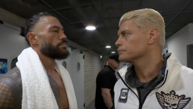 cody rhodes roman reigns