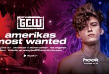 hook gcw