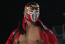 new hayabusa, hayabusa