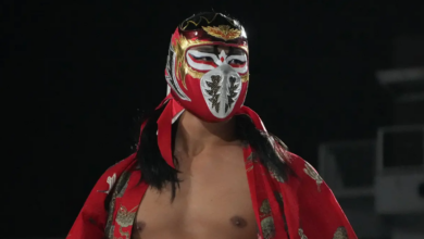 new hayabusa, hayabusa