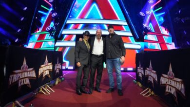 the undertaker, triple h, paul levesque, shawn michaels
