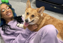mercedes mone corgi