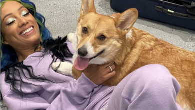 mercedes mone corgi