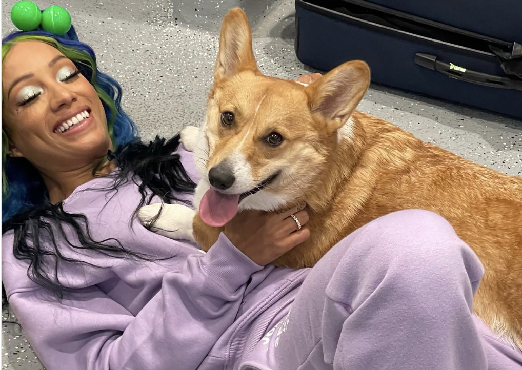 mercedes mone corgi