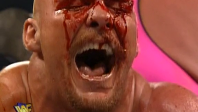 steve austin