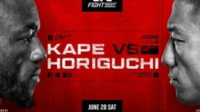 ufc fight night