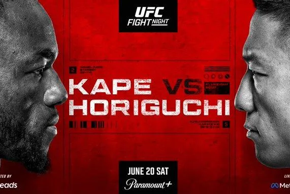 ufc fight night