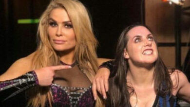 nattie, natalya, nikki cross, nikki storm