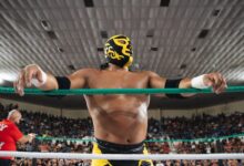 Pierroth Jr