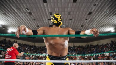 Pierroth Jr