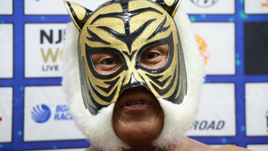Tiger Mask IV