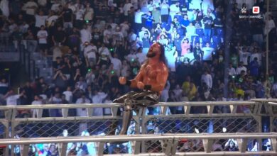 seth rollins