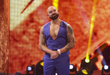 shawn spears