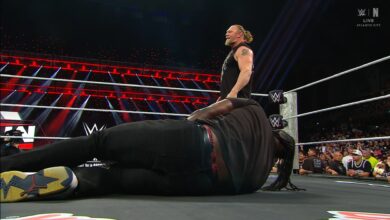 Brock Lesnar Oba Femi