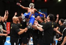 Tiger Mask IV
