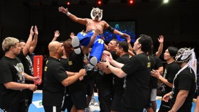Tiger Mask IV