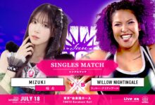 willow nightingale tjpw