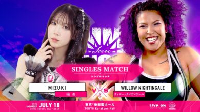 willow nightingale tjpw